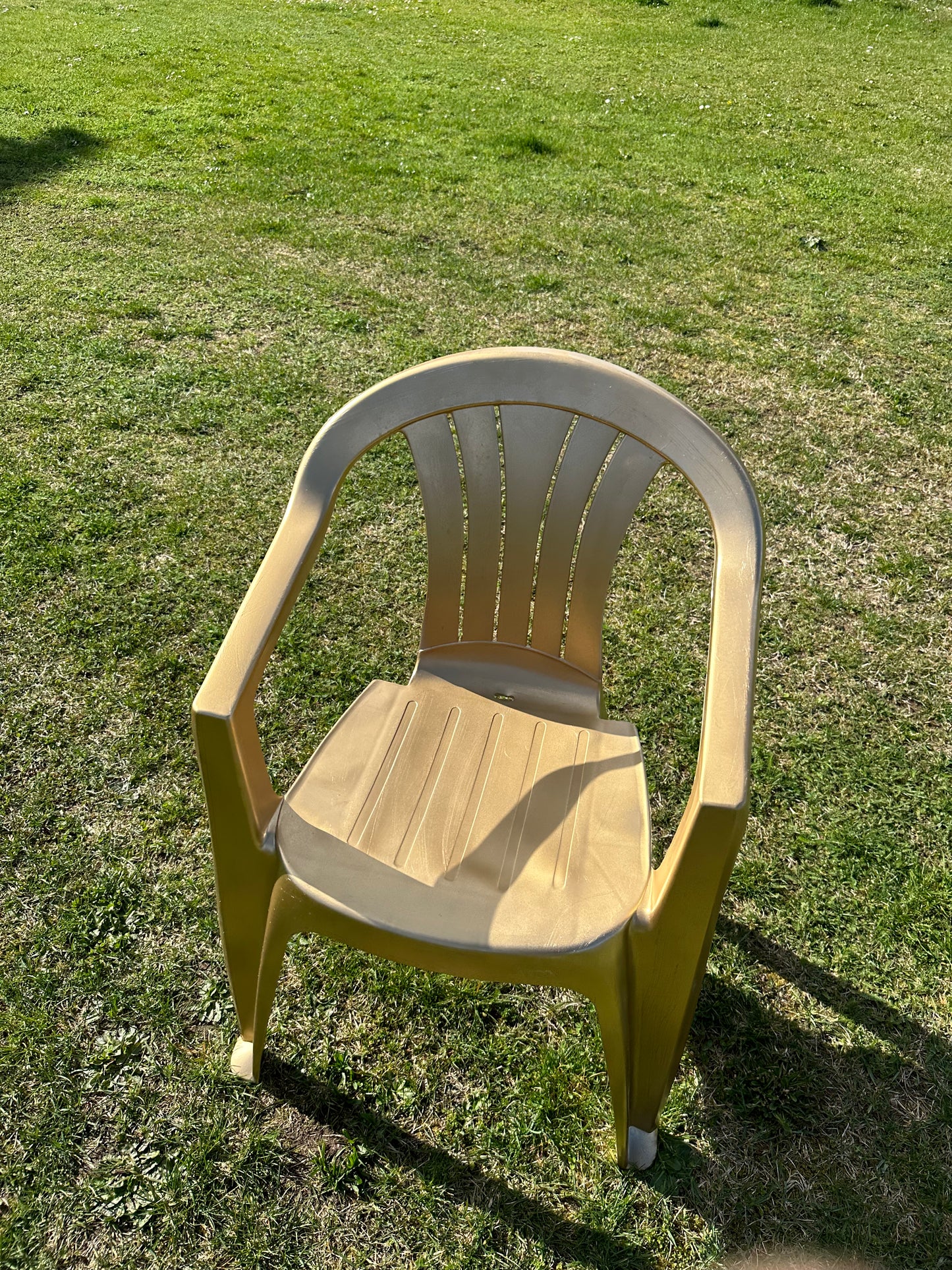 Balkan luxurious chair